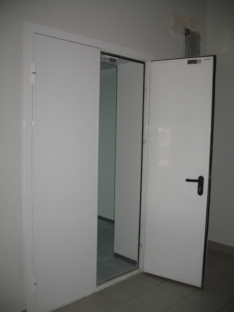 Дверь противопожарная двустворчатая ДМП EI60 нестандарт