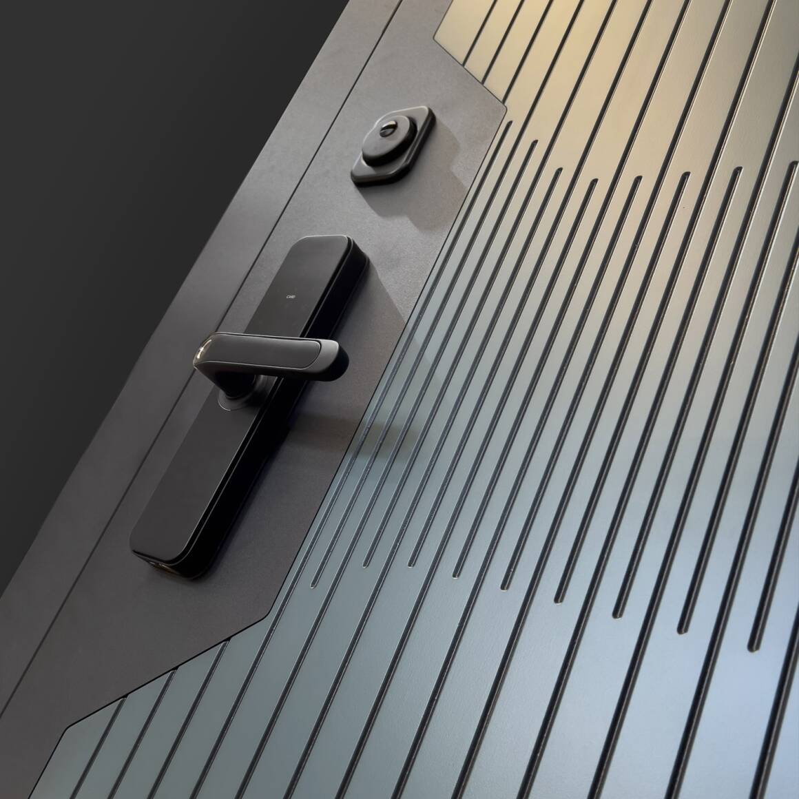 Входная дверь Смартлаб