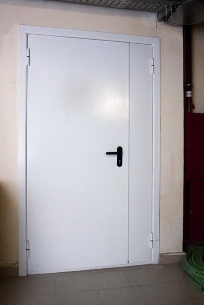 Дверь противопожарная двустворчатая ДМП EI60 нестандарт