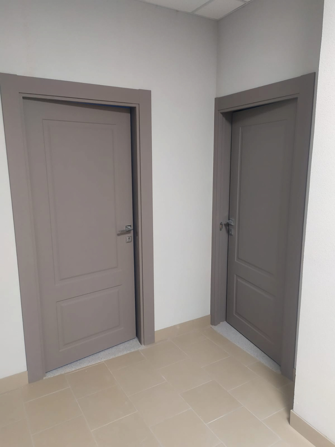 Фабрика дверей «Аэлита»: Современные решения для вашего пространства