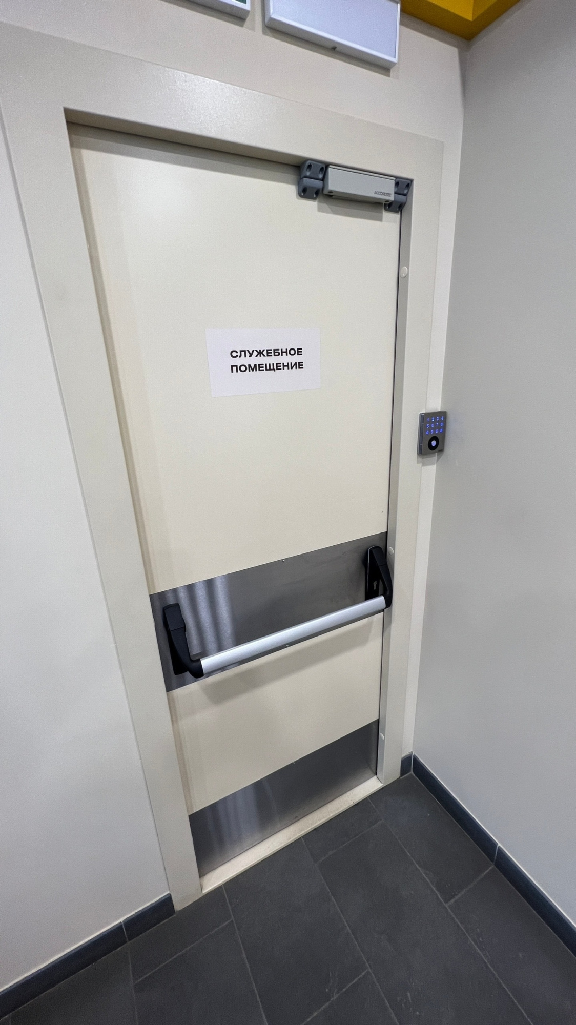 Дверь противопожарная ДМП EI60 нестандарт